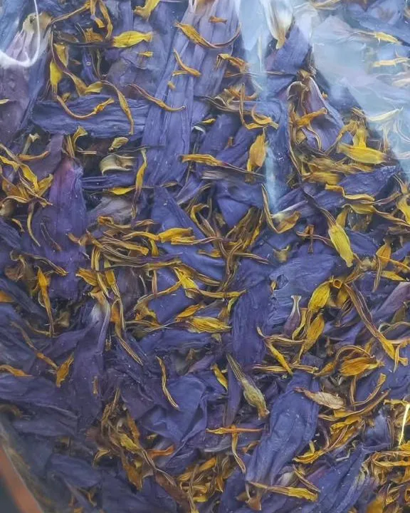 Sealed bag of dried blue lotus flower stored for wholesale