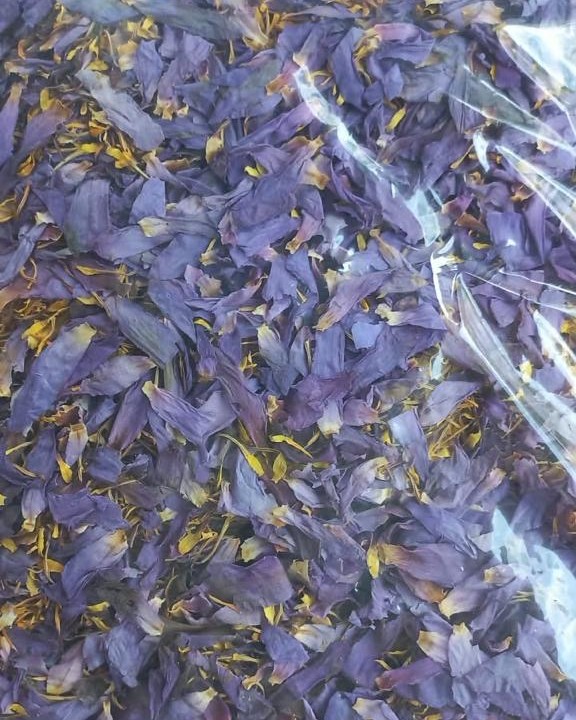 Bulk bag of dried blue lotus flower, mostly blue-violet