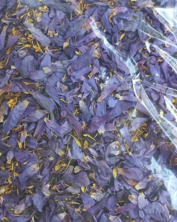 Sealed bulk bag of dried blue lotus flower for wholesale distribution